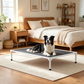 Elevated Dog Bed for Bedroom