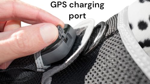 Get Realtime SMS Site Reports w/ Waterproof Mini GSM GPS Pet Tracker Size:XS